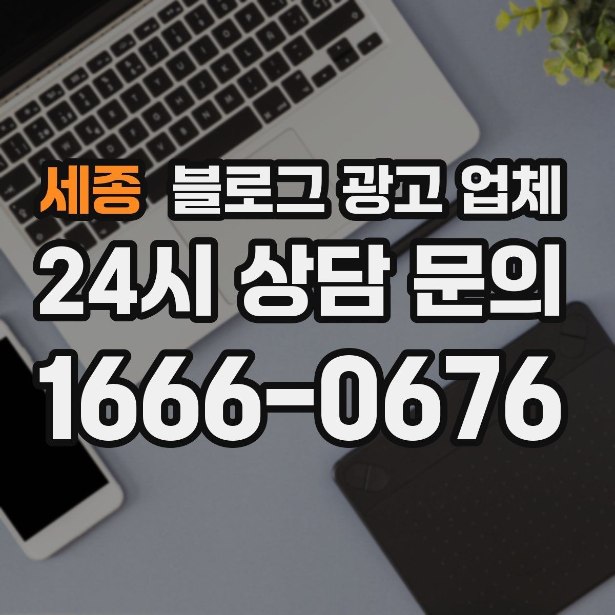 세종 블로그 광고 업체 계약 조건에서 자주 보는 항목