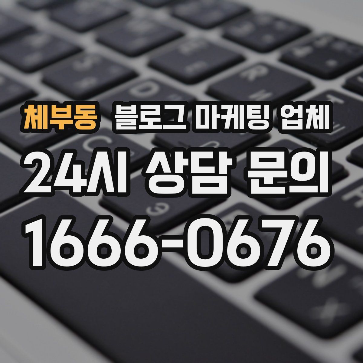 체부동 블로그 마케팅 업체