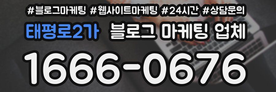 태평로2가 블로그 마케팅 업체