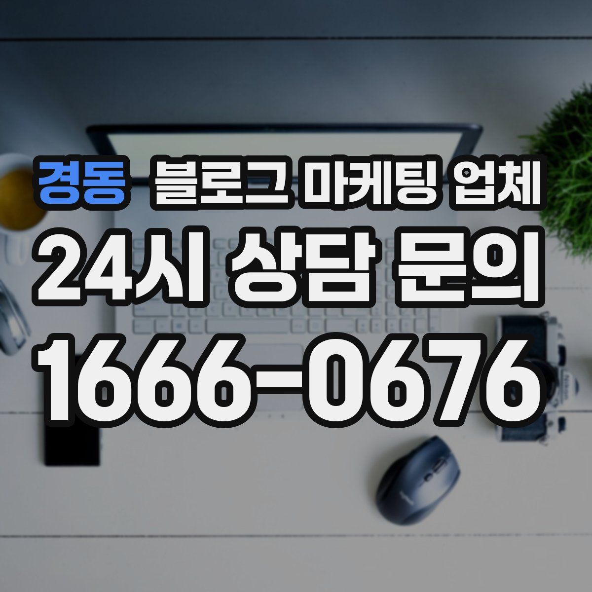 경동 블로그 마케팅 업체