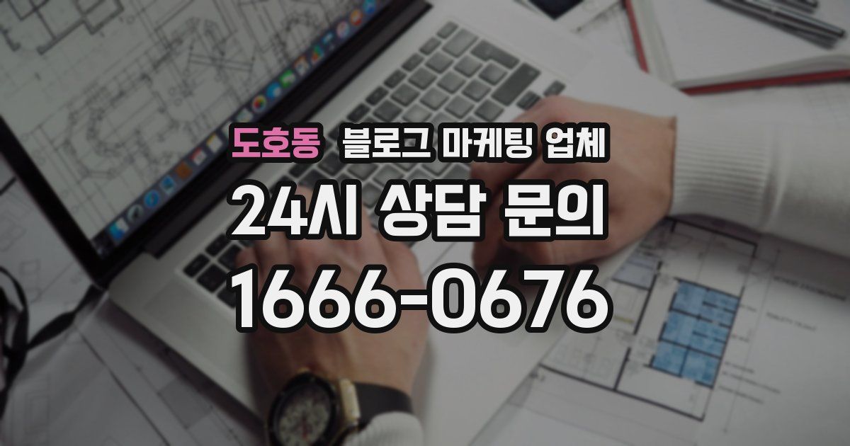 도호동 블로그 마케팅 업체