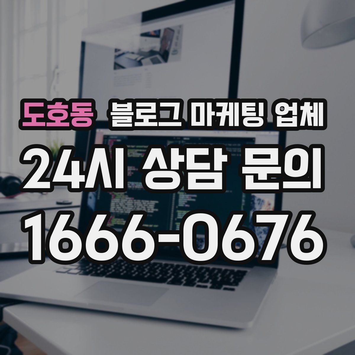 도호동 블로그 마케팅 업체