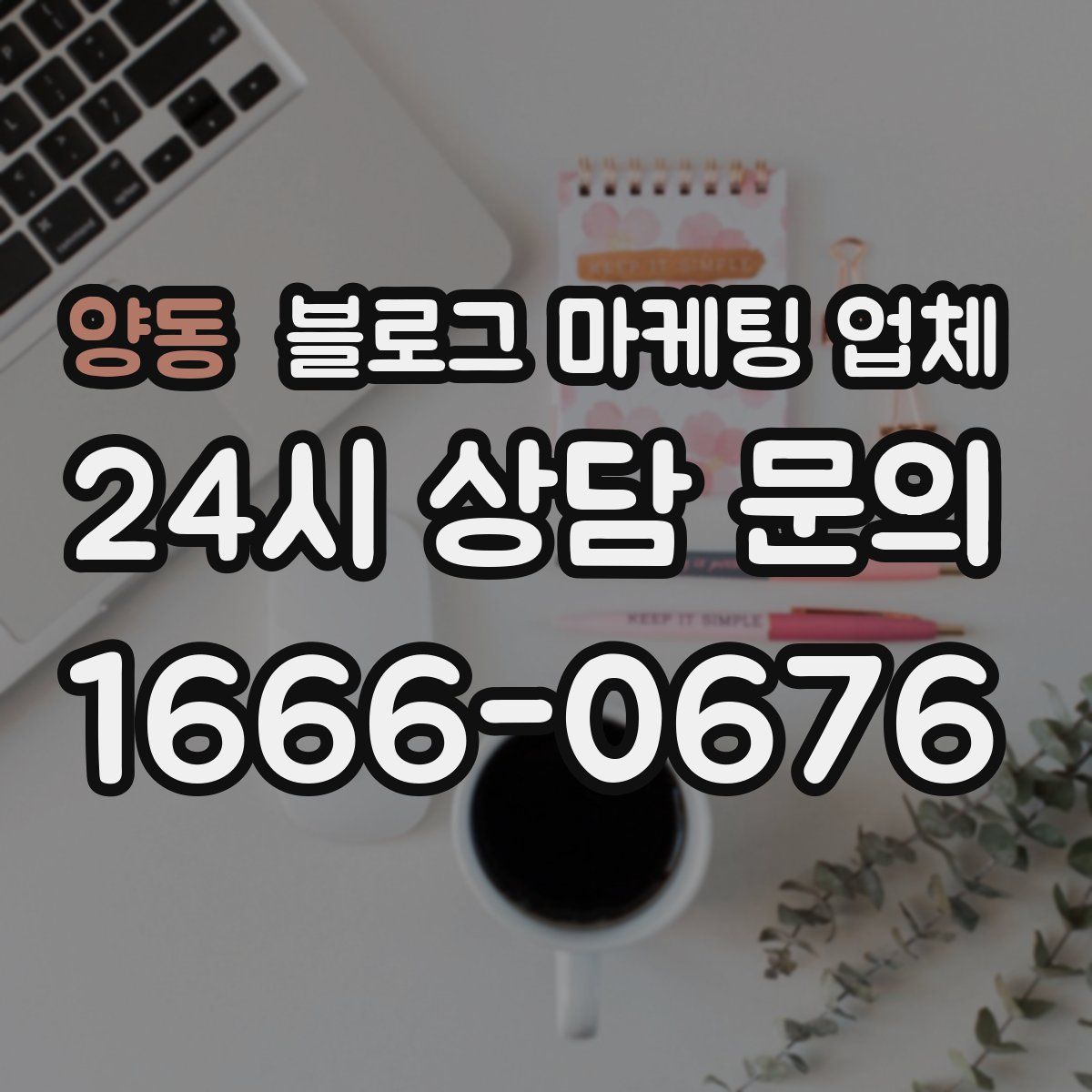 양동 블로그 마케팅 업체