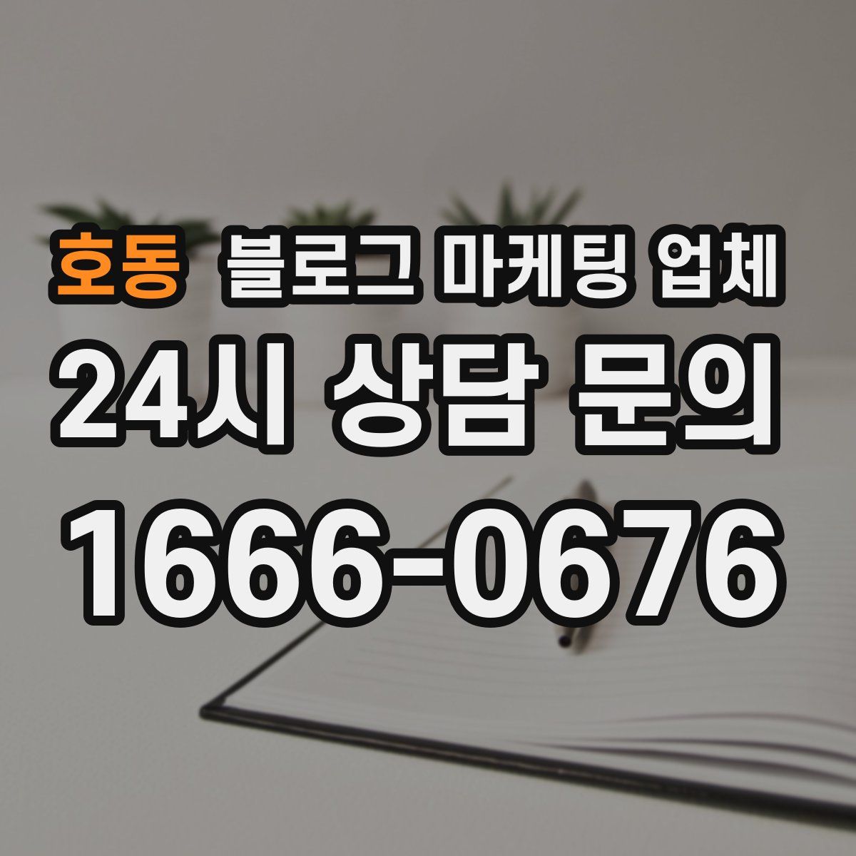 호동 블로그 마케팅 업체