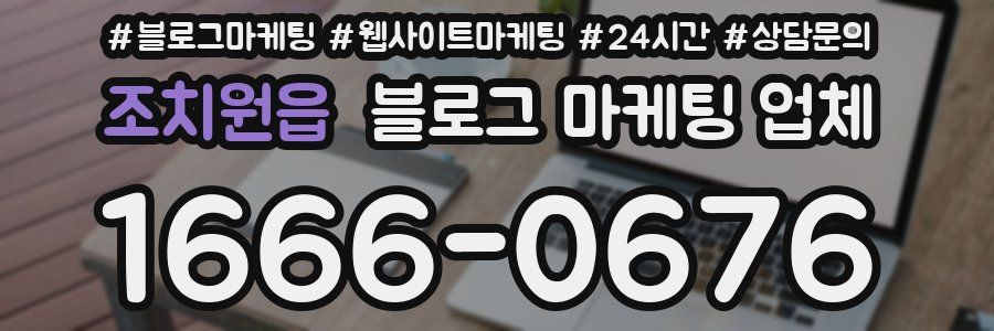 조치원읍 블로그 마케팅 업체