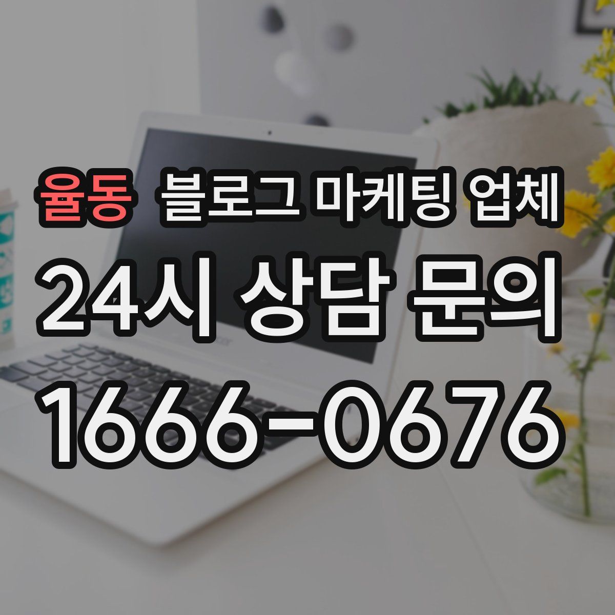 율동 블로그 마케팅 업체