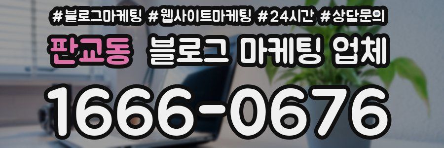 판교동 블로그 마케팅 업체