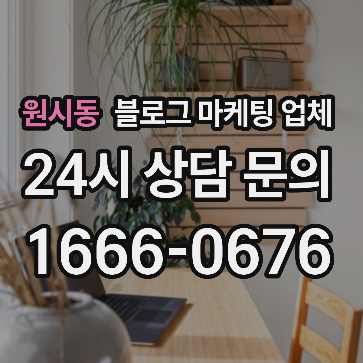 원시동 블로그 마케팅 업체