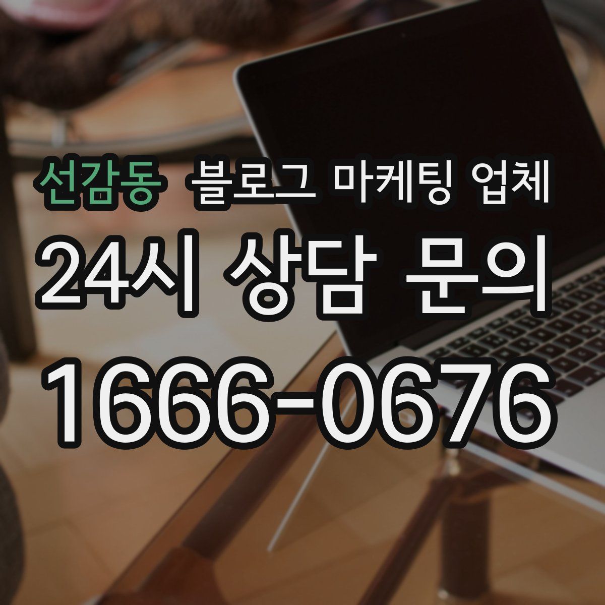 선감동 블로그 마케팅 업체