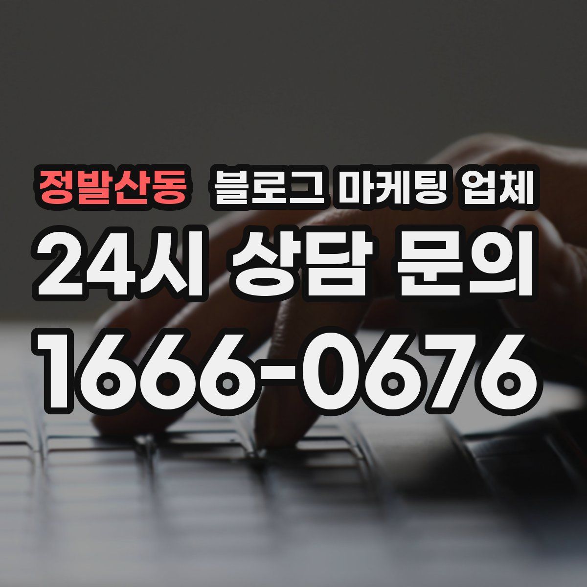 정발산동 블로그 마케팅 업체