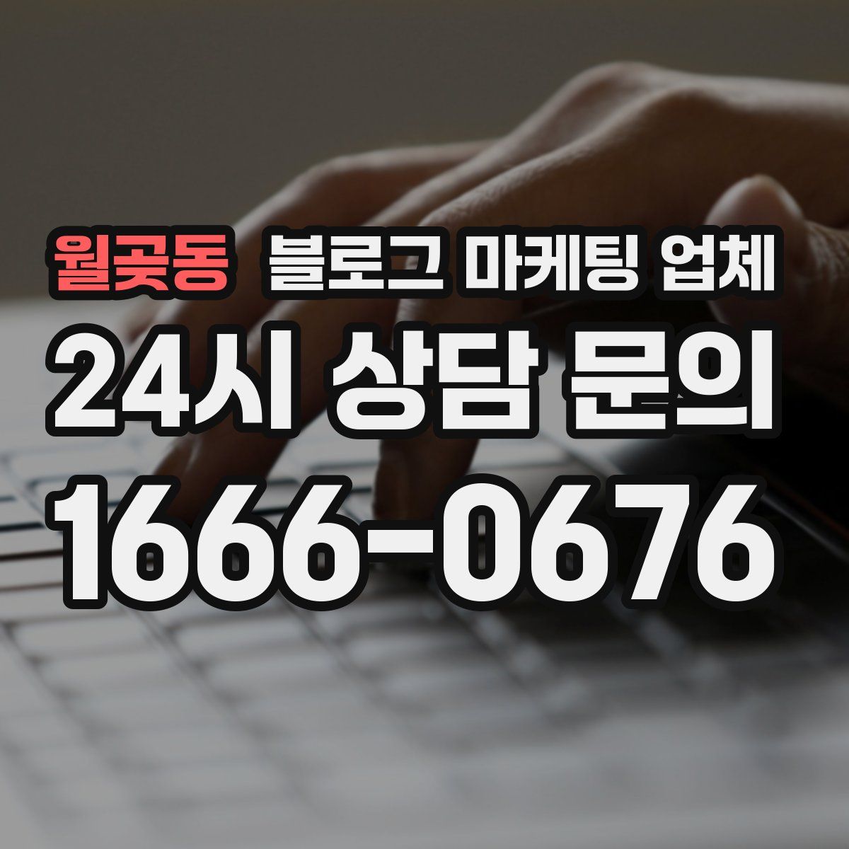 월곶동 블로그 마케팅 업체