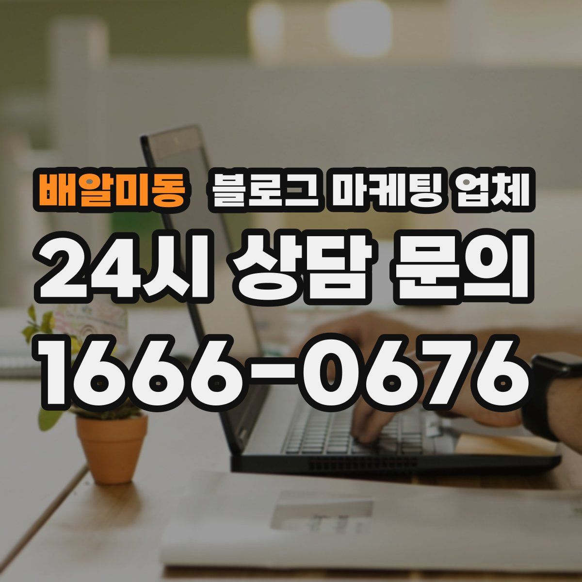 배알미동 블로그 마케팅 업체