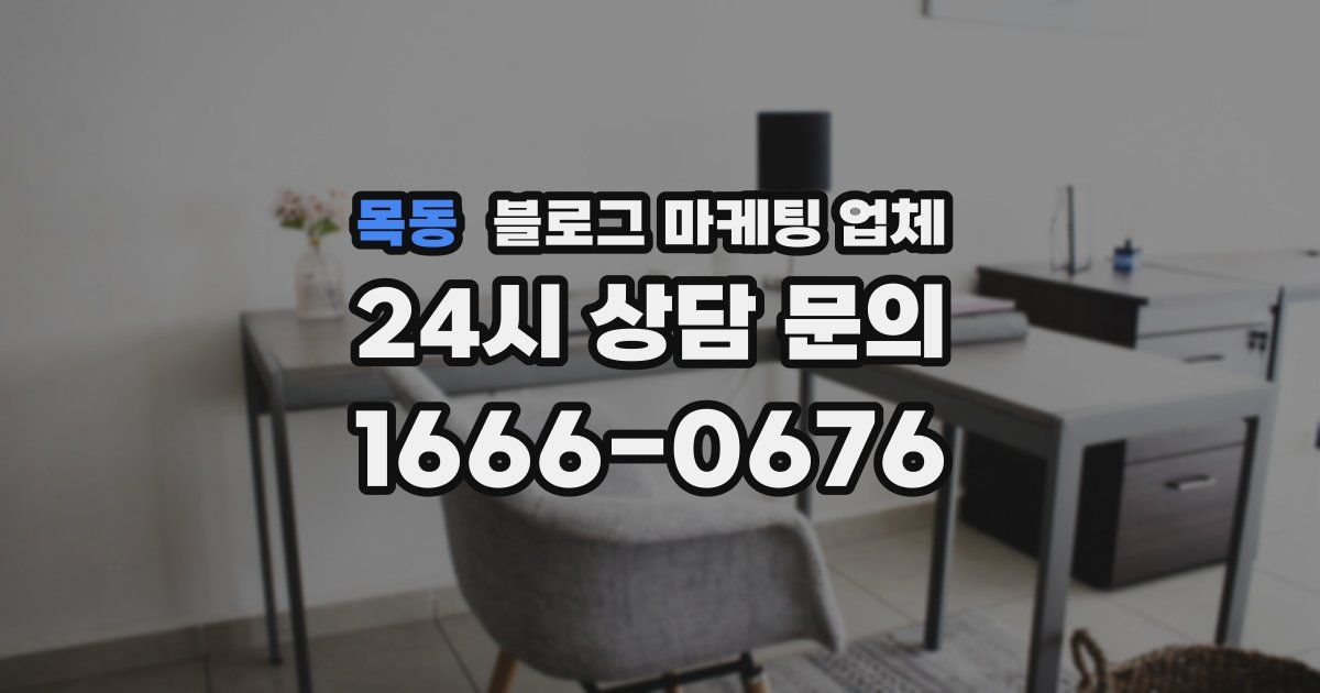 목동 블로그 마케팅 업체