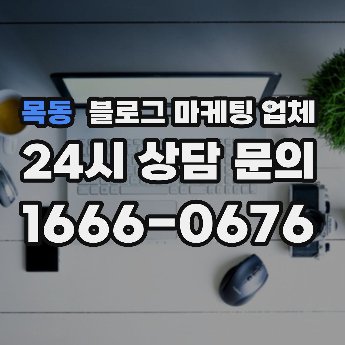 목동 블로그 마케팅 업체