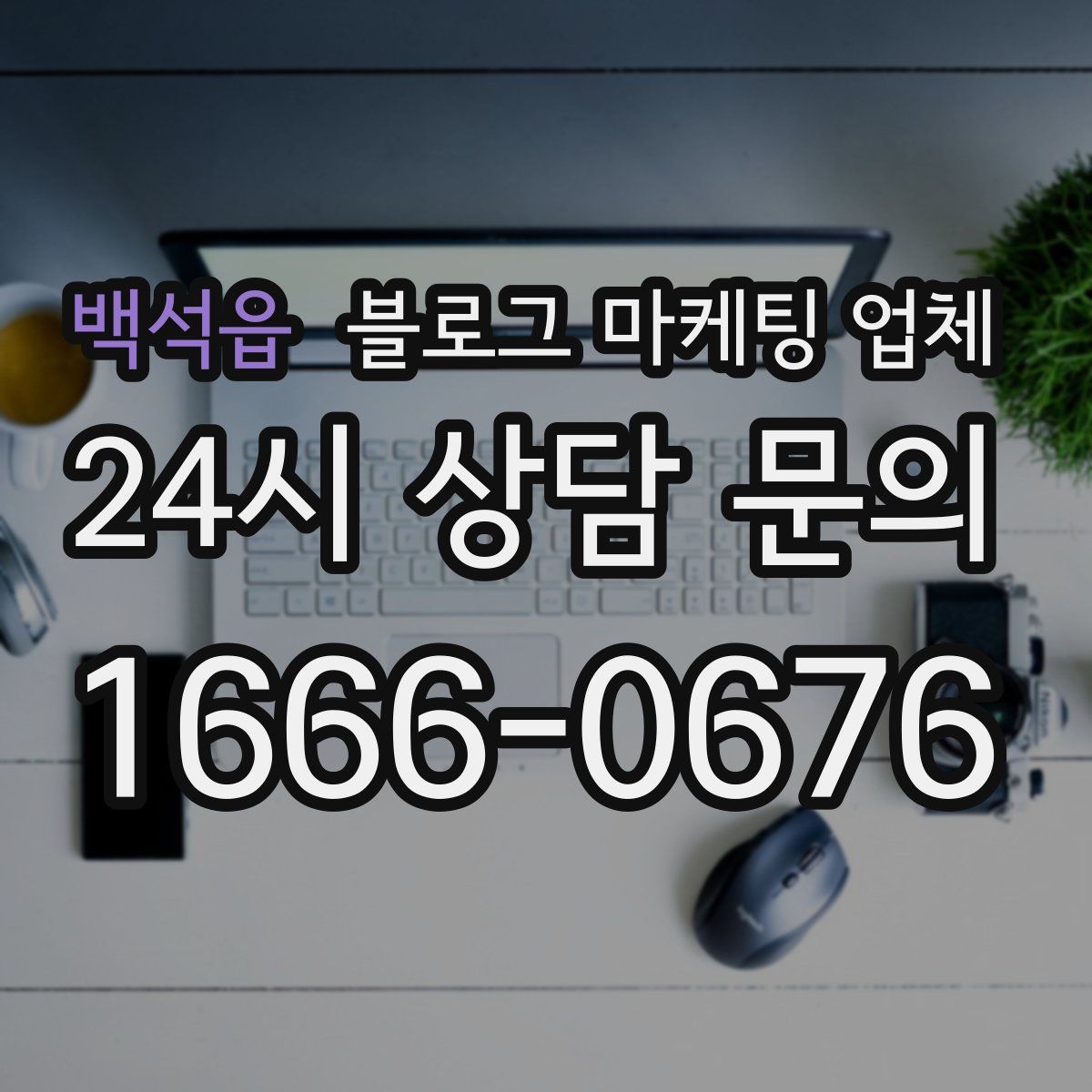 백석읍 블로그 마케팅 업체