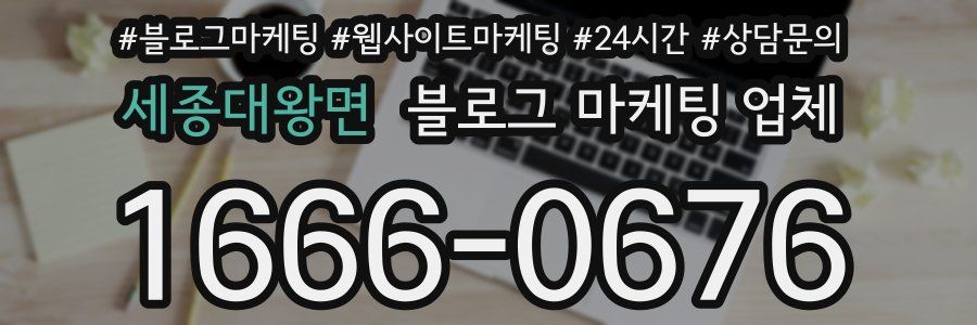 세종대왕면 블로그 마케팅 업체