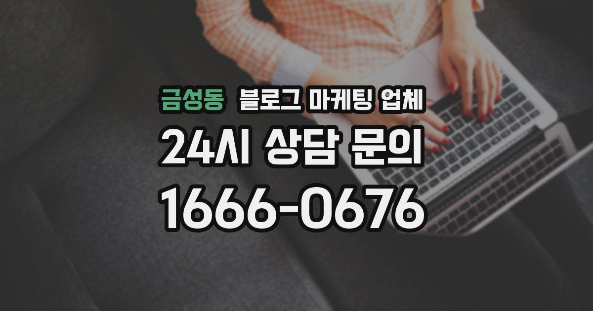 금성동 블로그 마케팅 업체