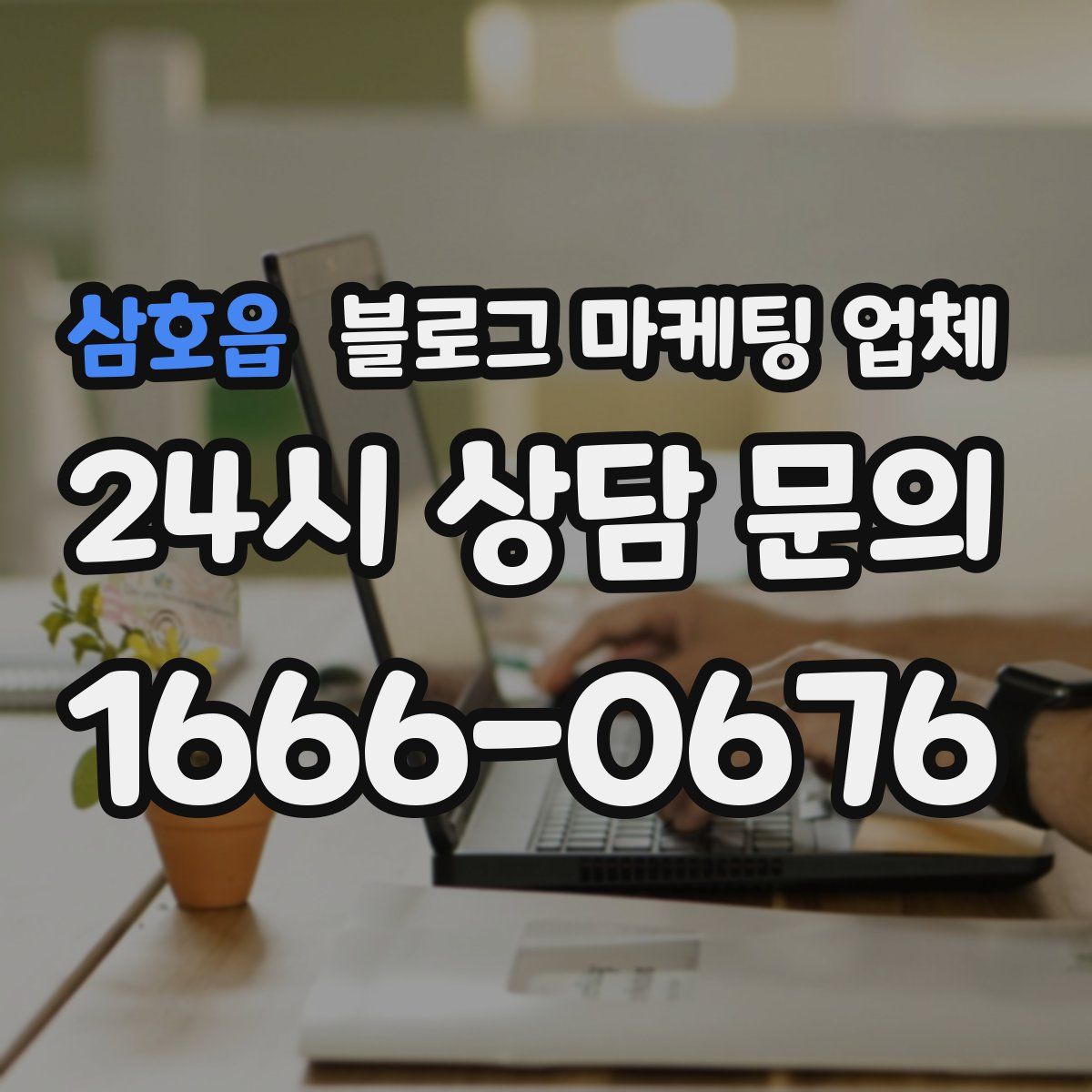 삼호읍 블로그 마케팅 업체