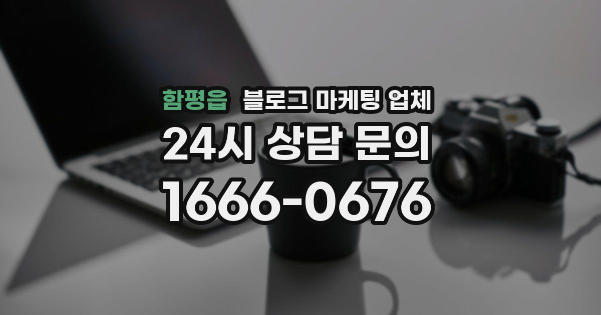 함평읍 블로그 마케팅 업체