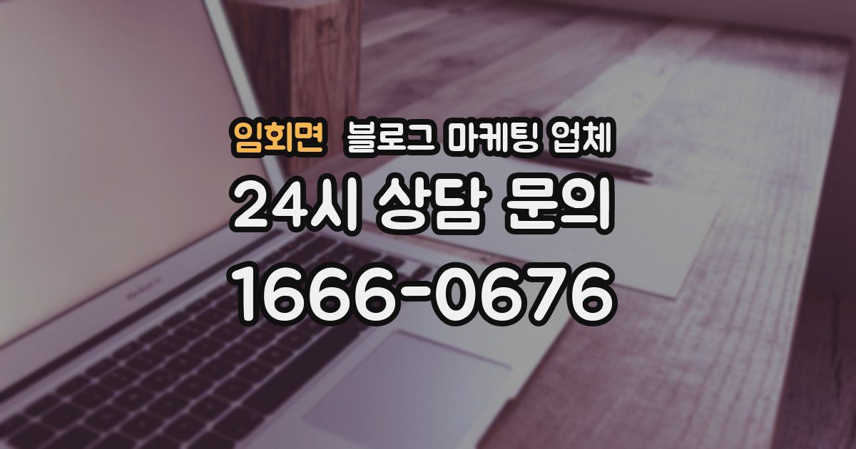 임회면 블로그 마케팅 업체
