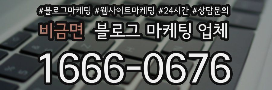 비금면 블로그 마케팅 업체