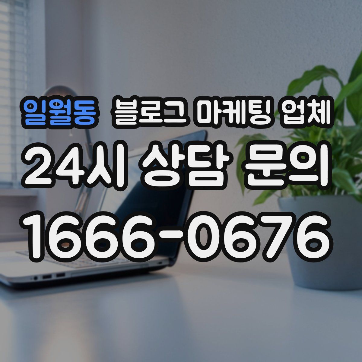 일월동 블로그 마케팅 업체