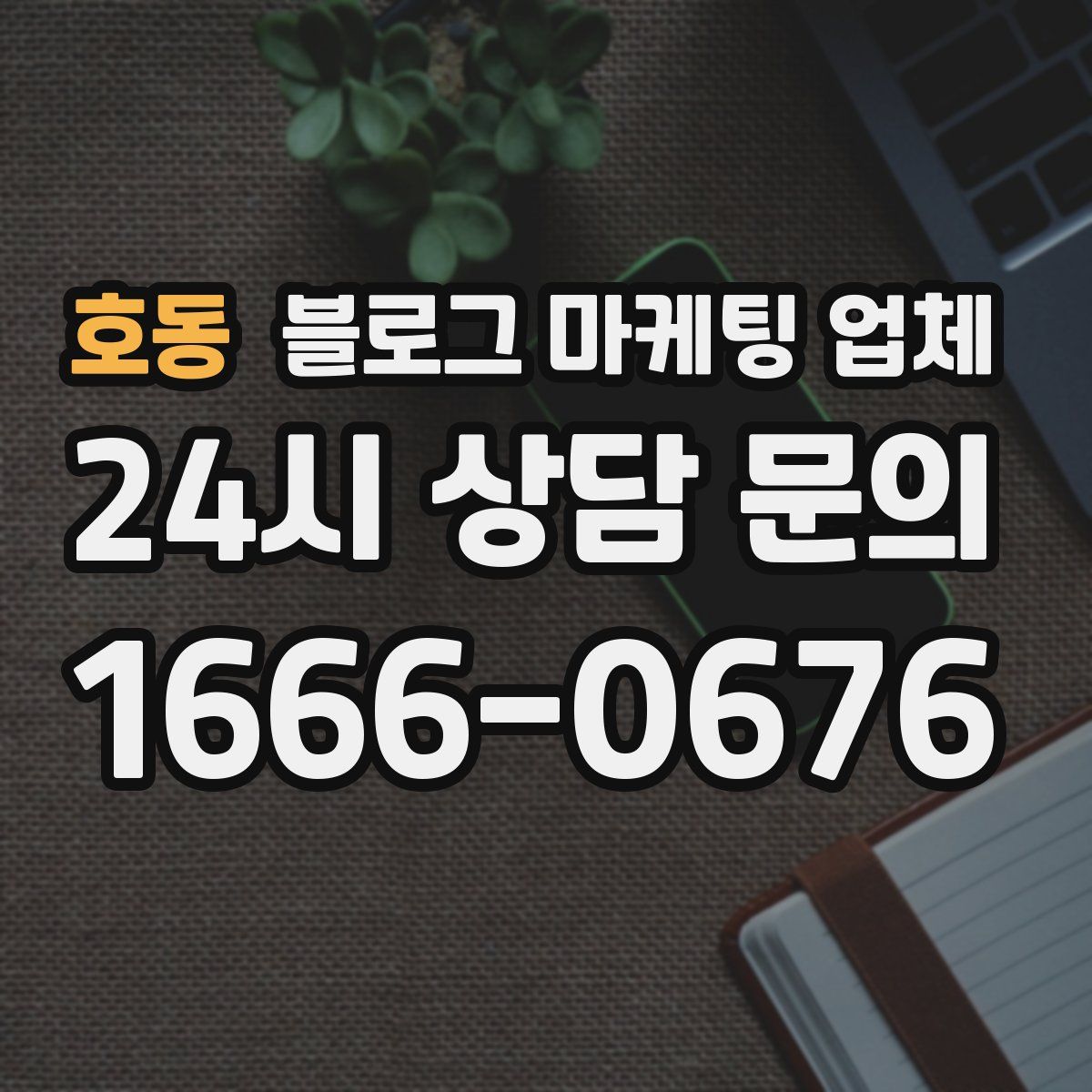호동 블로그 마케팅 업체