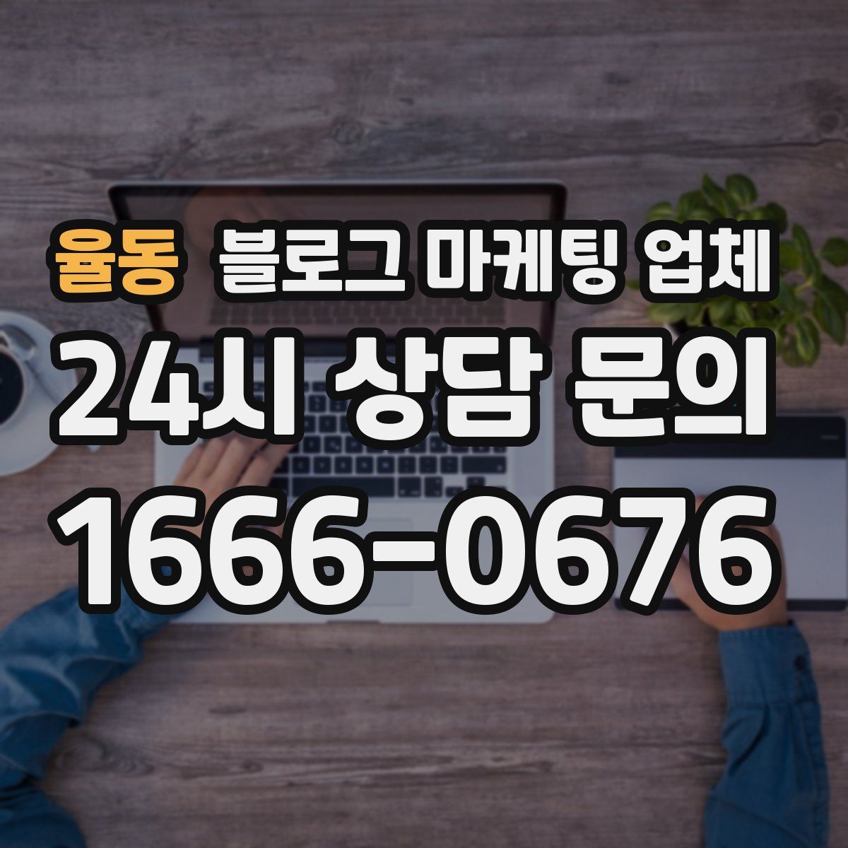 율동 블로그 마케팅 업체