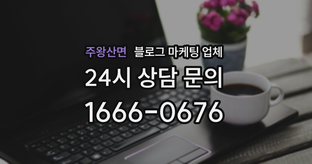 주왕산면 블로그 마케팅 업체