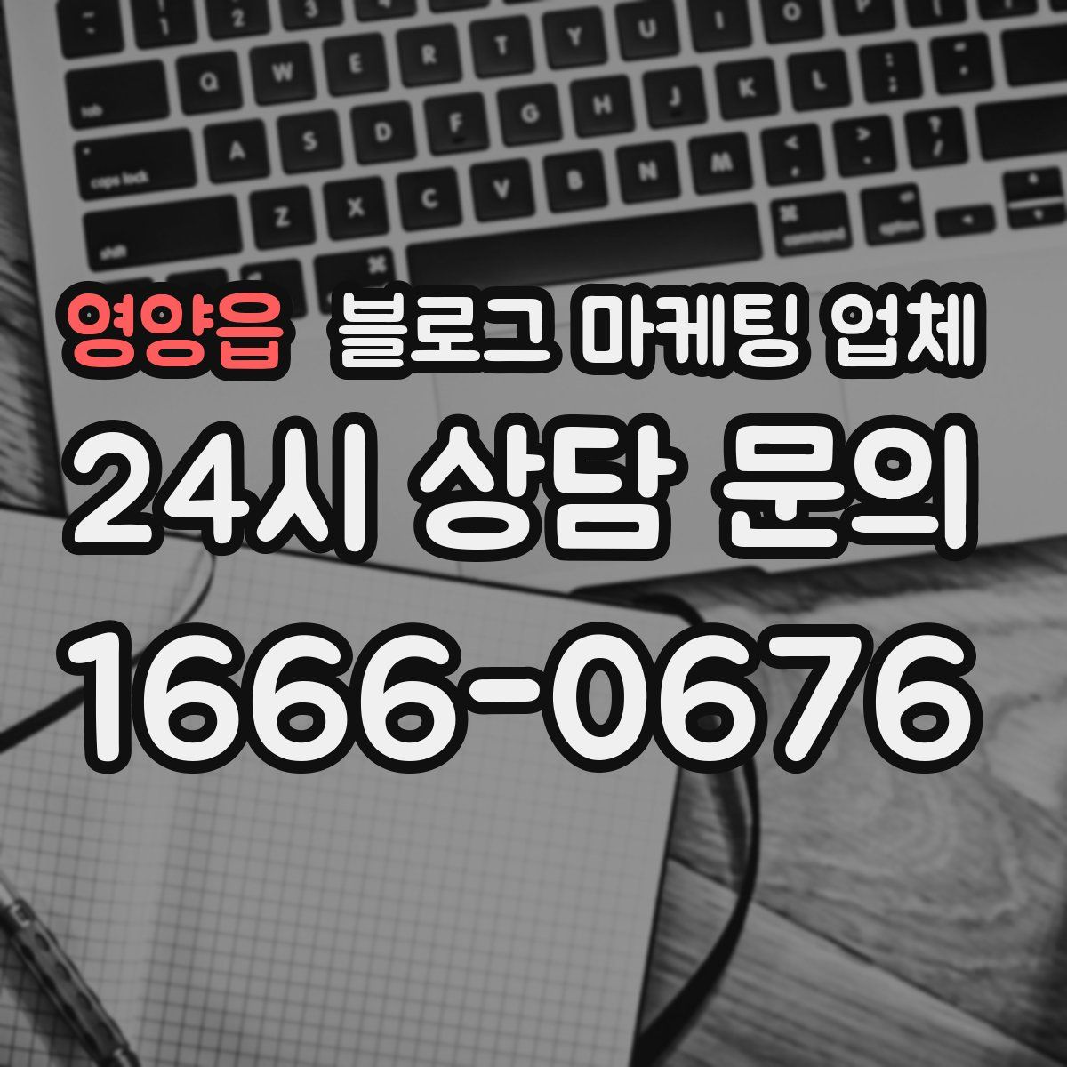 영양읍 블로그 마케팅 업체