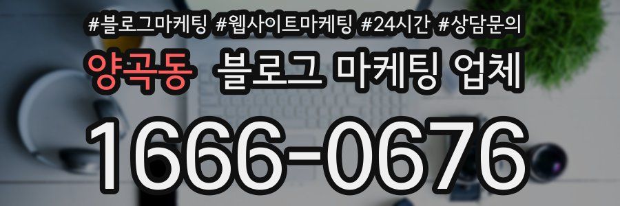 양곡동 블로그 마케팅 업체