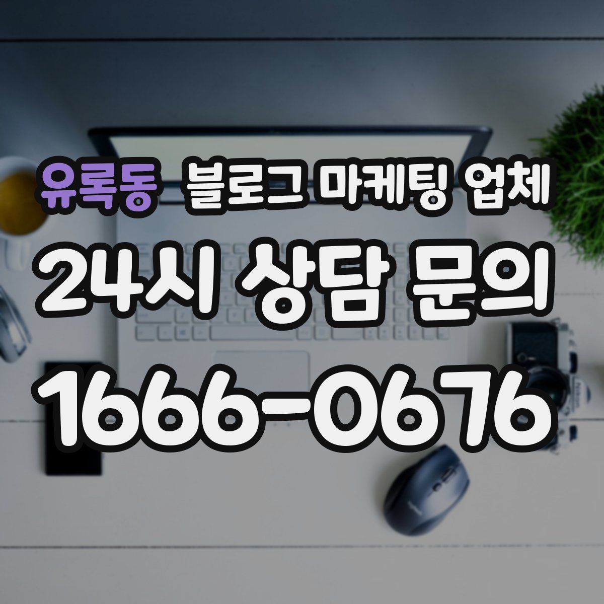 유록동 블로그 마케팅 업체