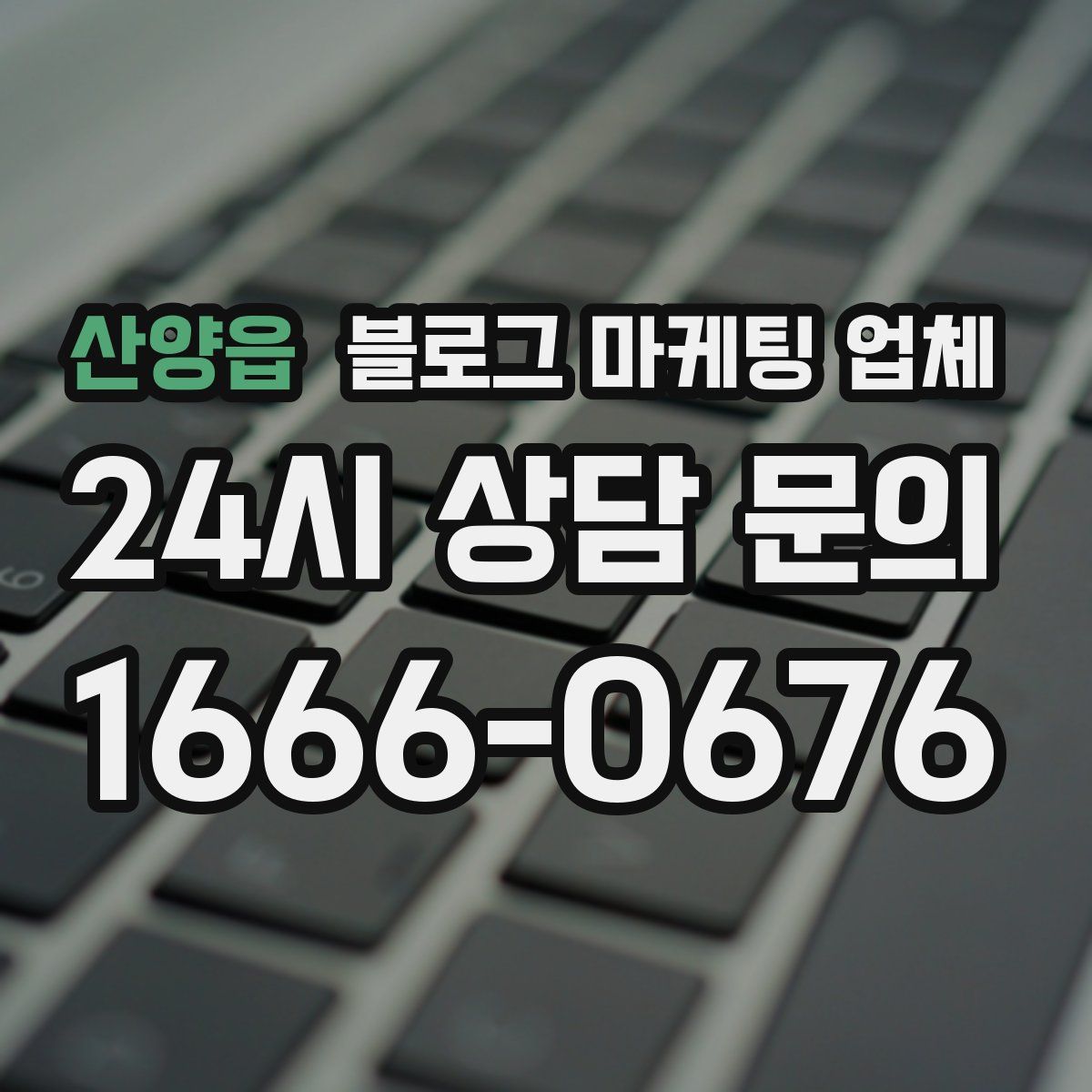 산양읍 블로그 마케팅 업체