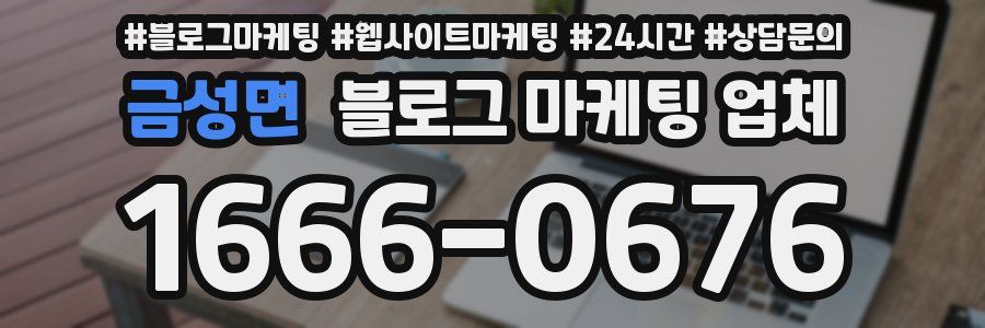 금성면 블로그 마케팅 업체