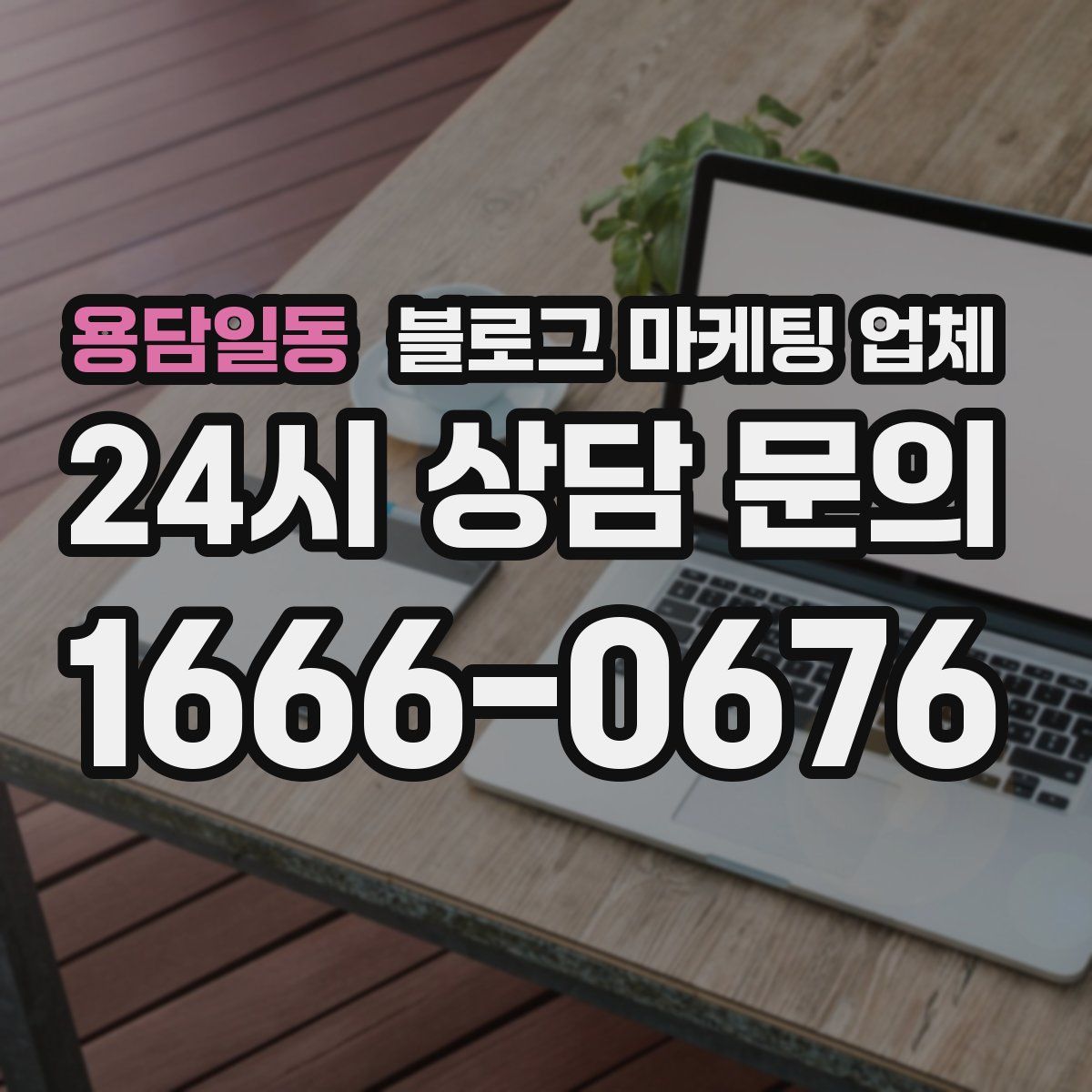 용담일동 블로그 마케팅 업체