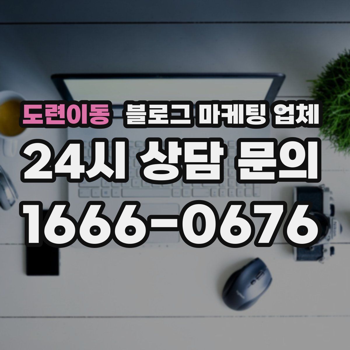 도련이동 블로그 마케팅 업체
