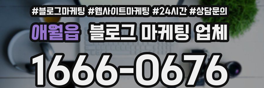 애월읍 블로그 마케팅 업체