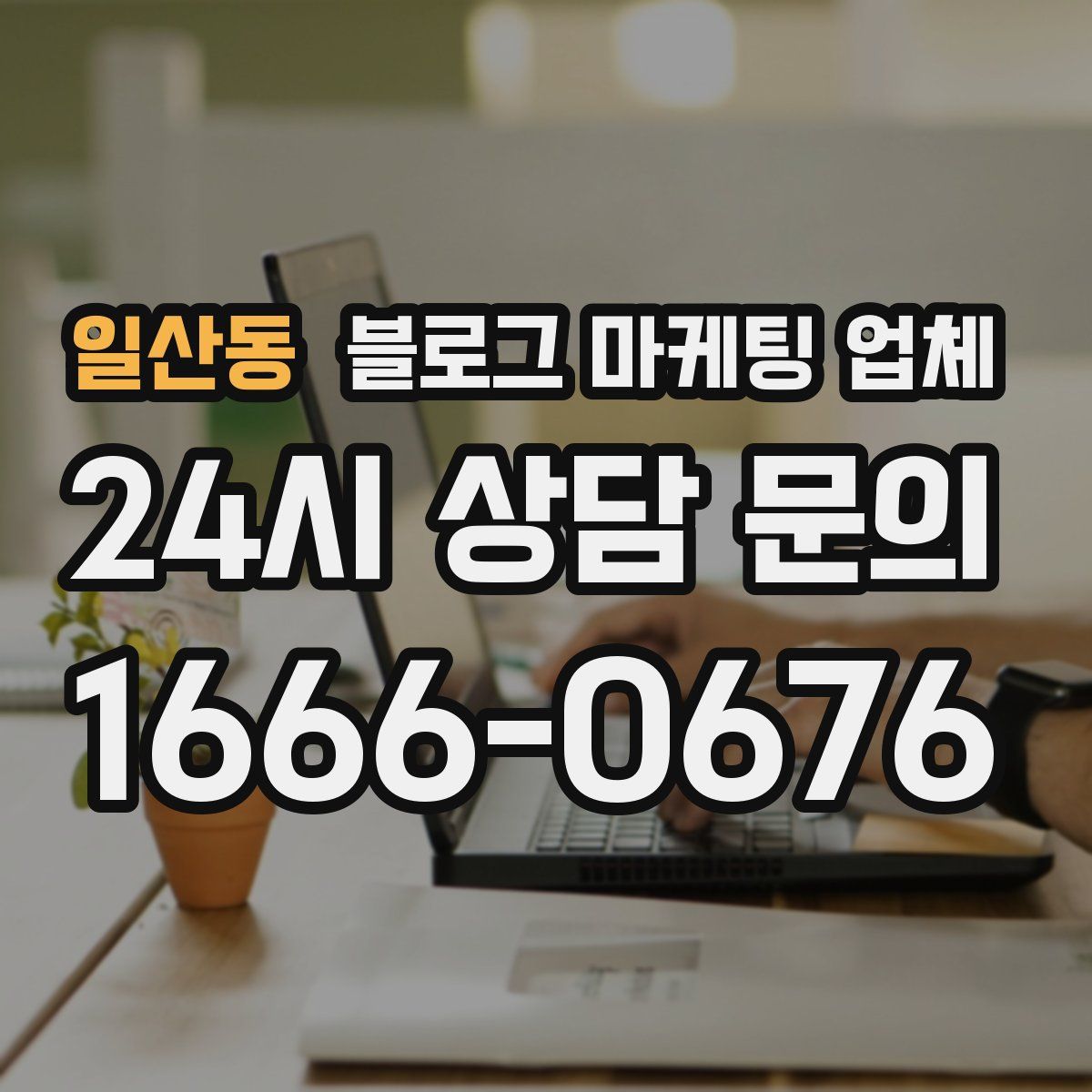 일산동 블로그 마케팅 업체