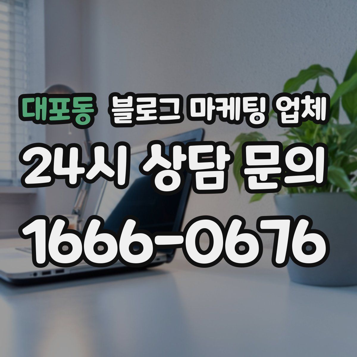 대포동 블로그 마케팅 업체