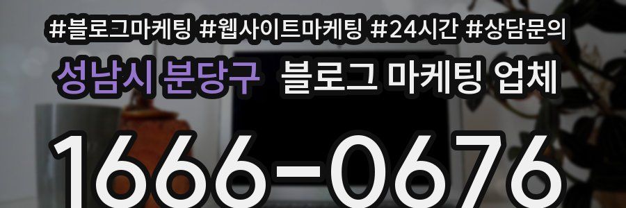 성남시 분당구 블로그 마케팅 업체