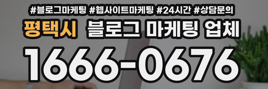 평택시 블로그 마케팅 업체