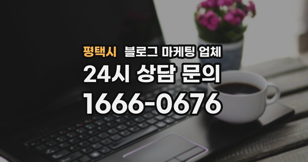 평택시 블로그 마케팅 업체