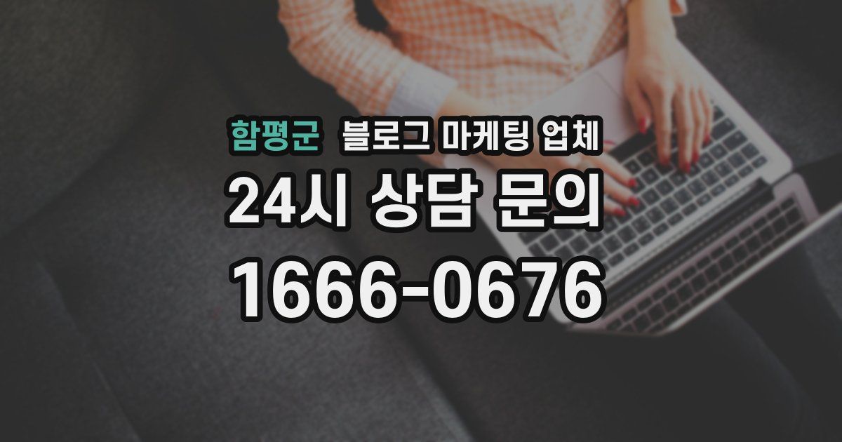 함평군 블로그 마케팅 업체