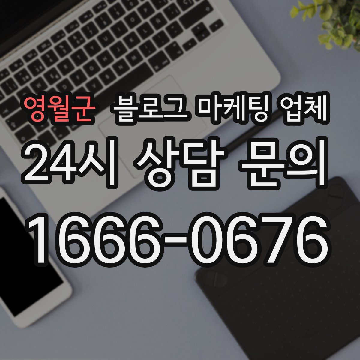 영월군 블로그 마케팅 업체