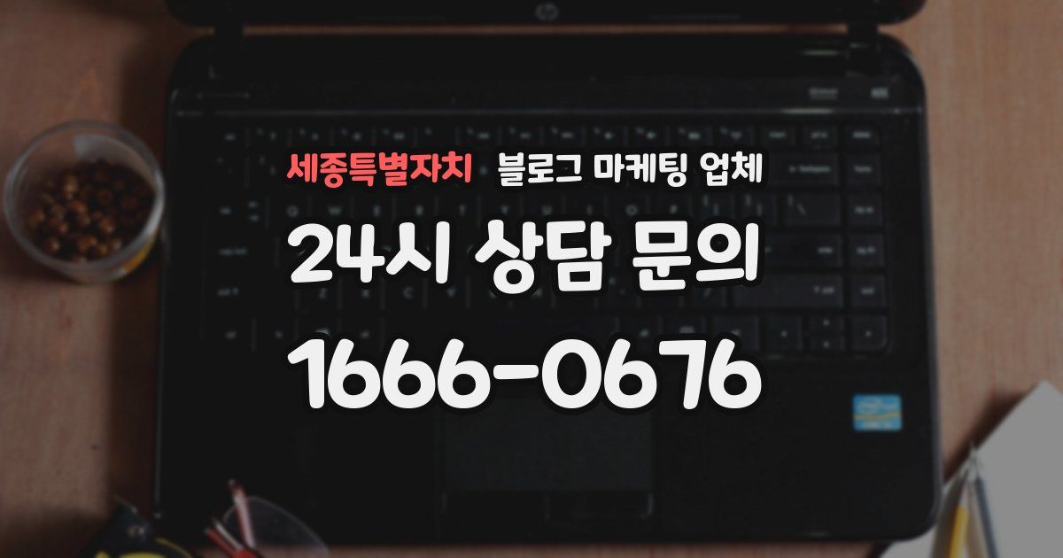 세종특별자치 블로그 마케팅 업체