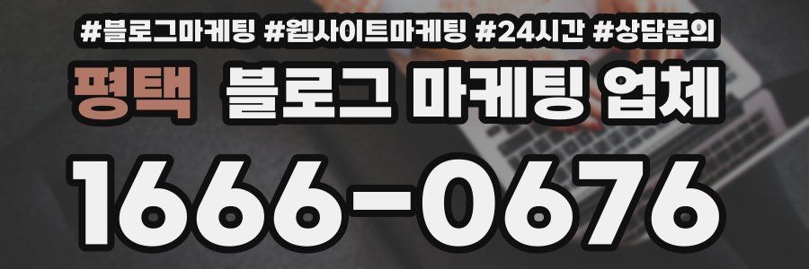평택 블로그 마케팅 업체