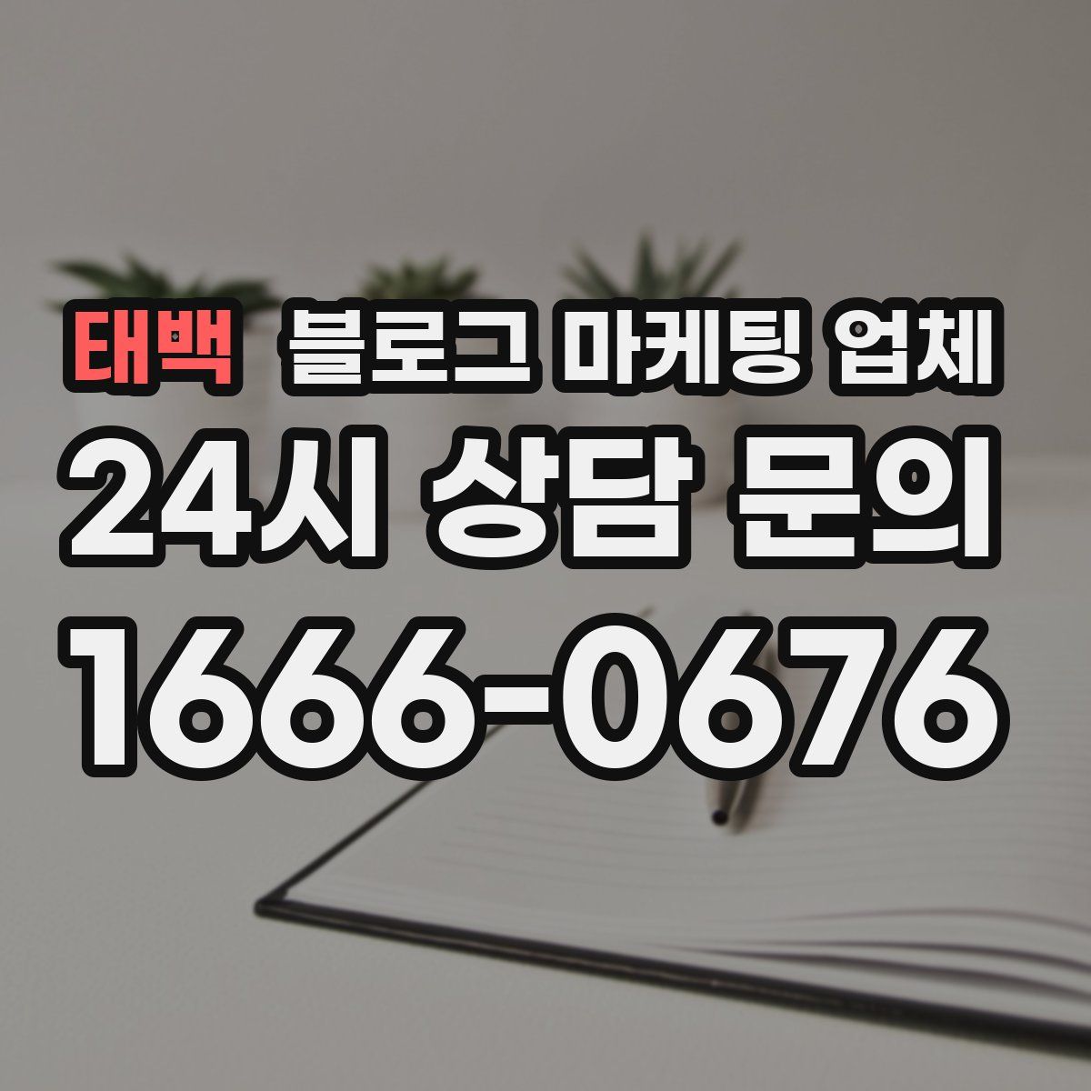 태백 블로그 마케팅 업체