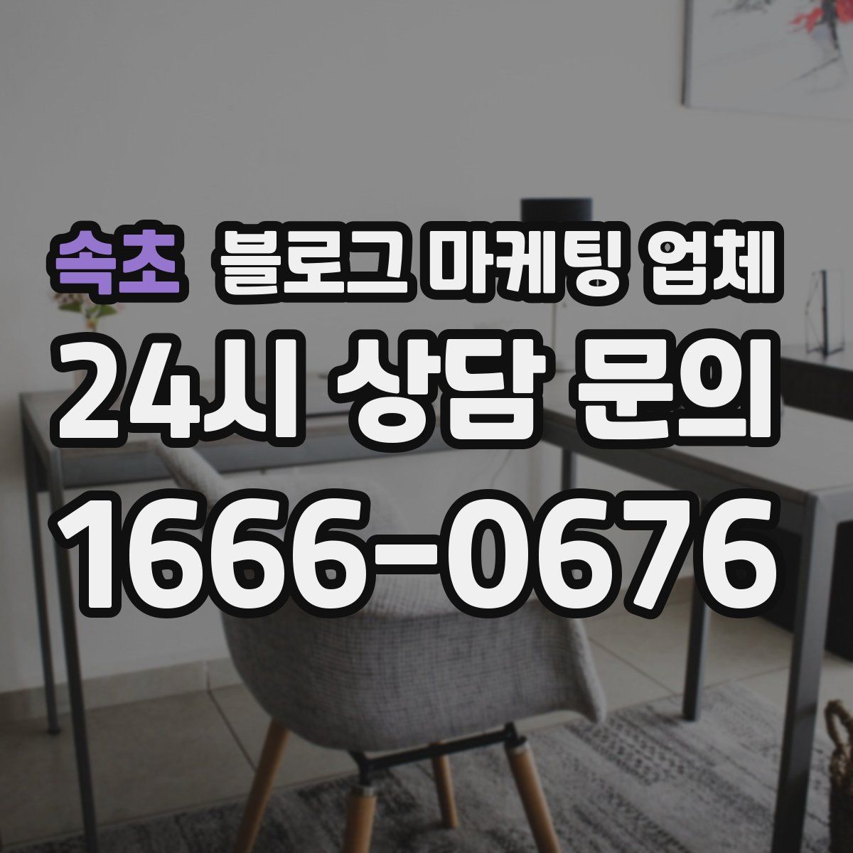 속초 블로그 마케팅 업체