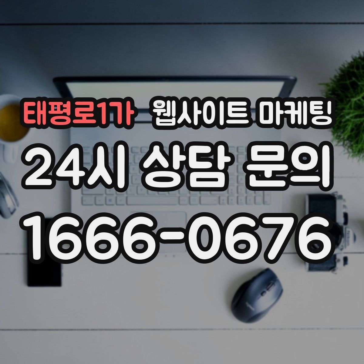 태평로1가 웹사이트 마케팅