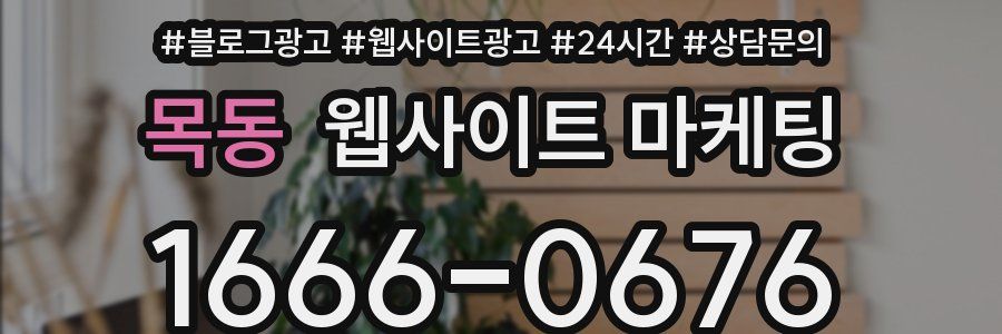 목동 웹사이트 마케팅